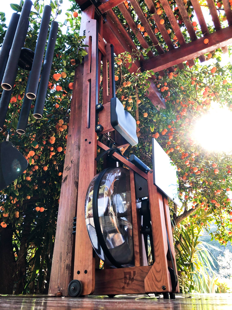 Ergatta machine by orange tree